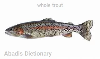 whole trout